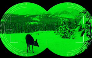 Turn Your Phone into a Free Night Vision Camera